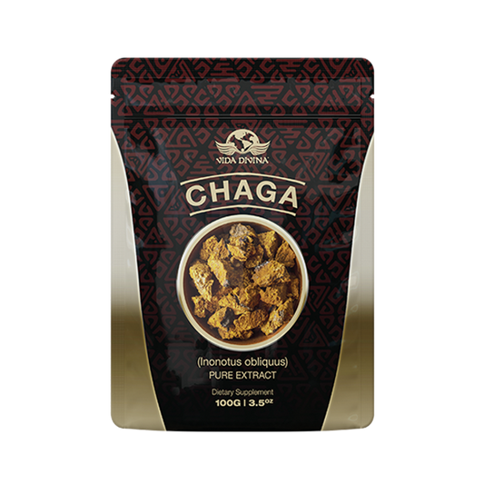 Extracto de Chaga (Chaga Extract)